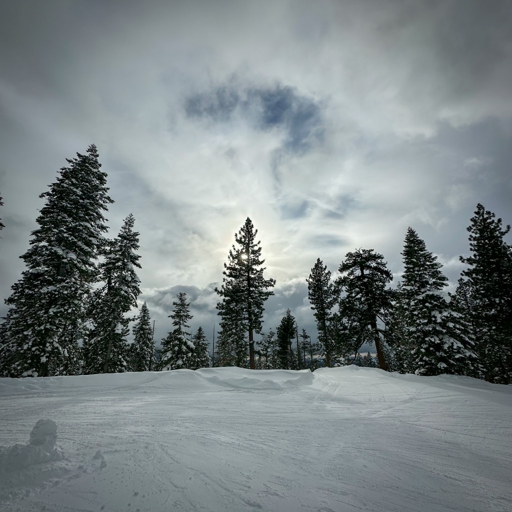 Top Of Chair&nbsp;One