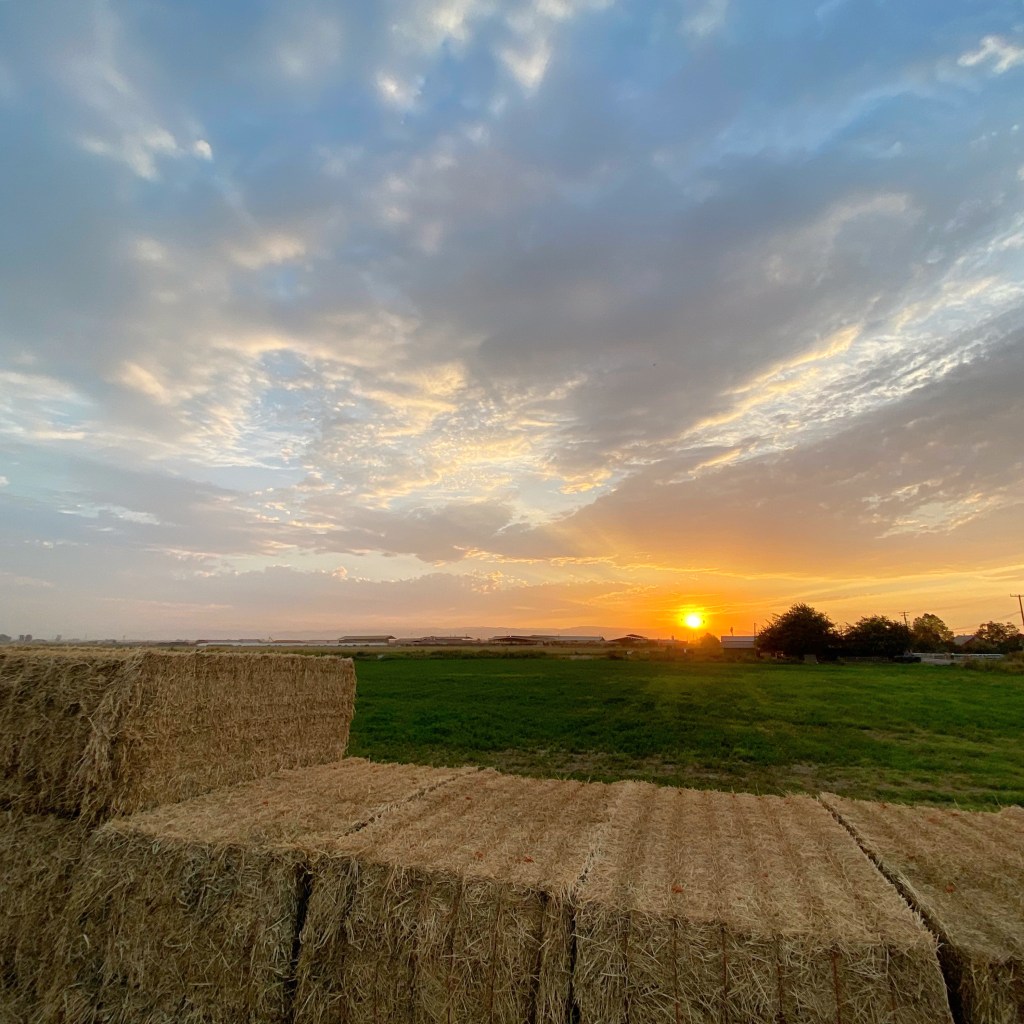 Smokeless Sunset 09/17/2020