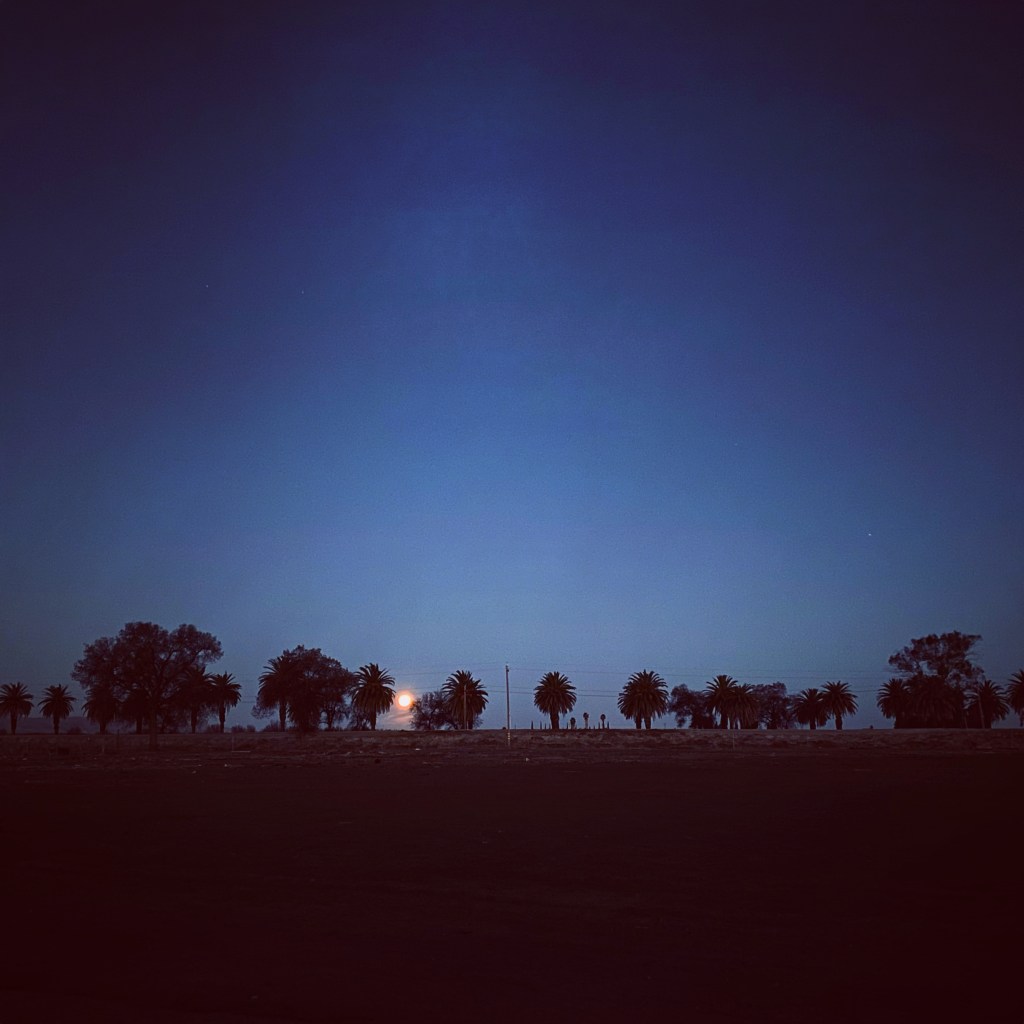 December’s Full Moon Morning&nbsp;🌕