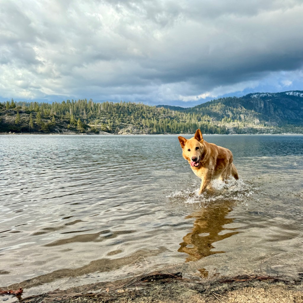 Mac Luna 6/17/2012 –&nbsp;6/17/2025